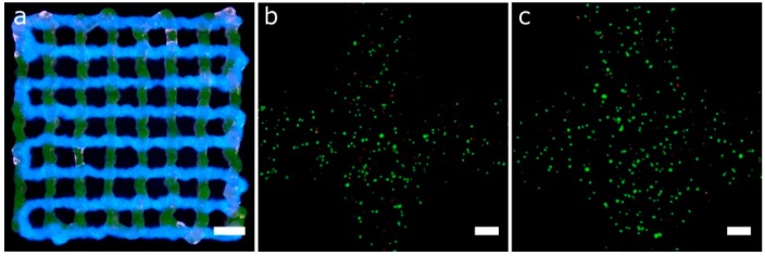 Figure 15