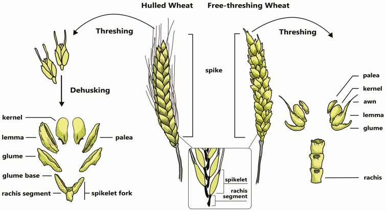 Figure 3.