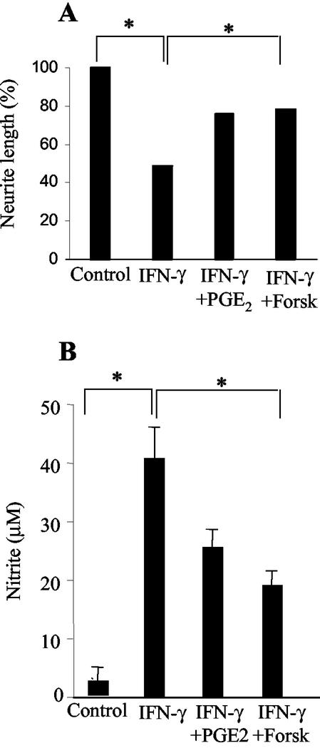 FIG. 5.