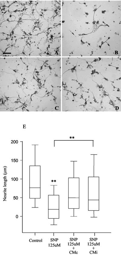 FIG. 7.