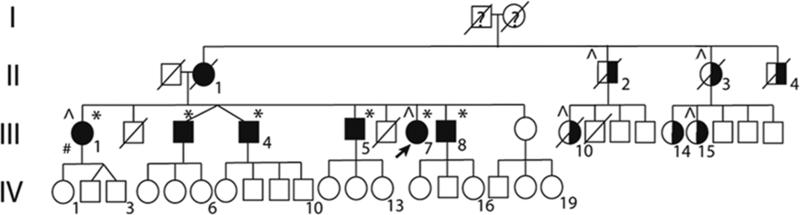 Figure 1a