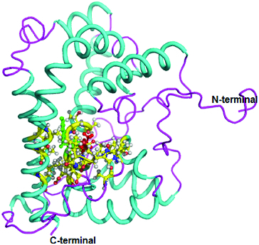 Figure 3. 