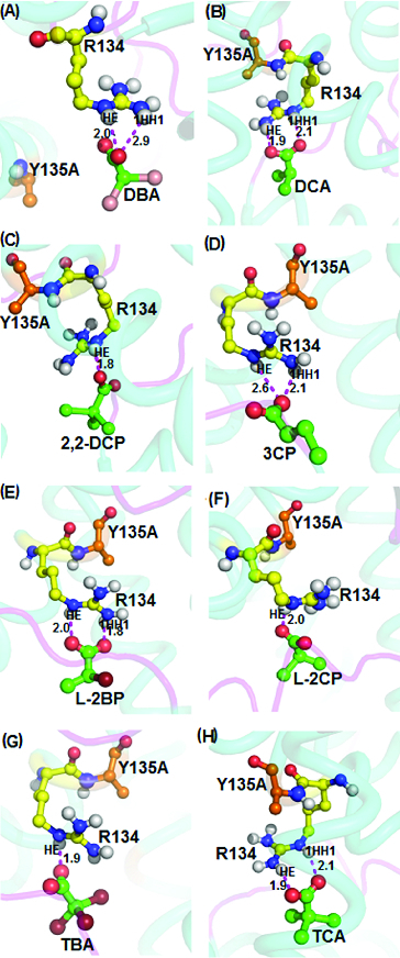 Figure 9. 