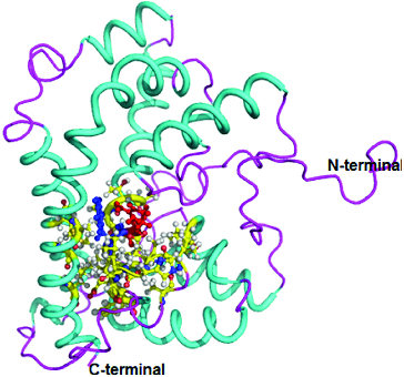 Figure 2. 