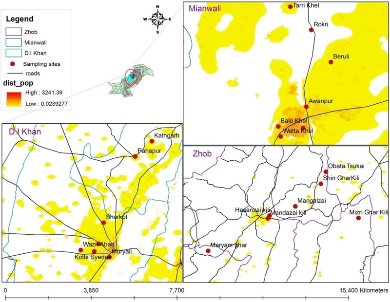 FIGURE 1