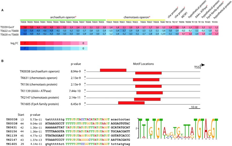 Figure 5.