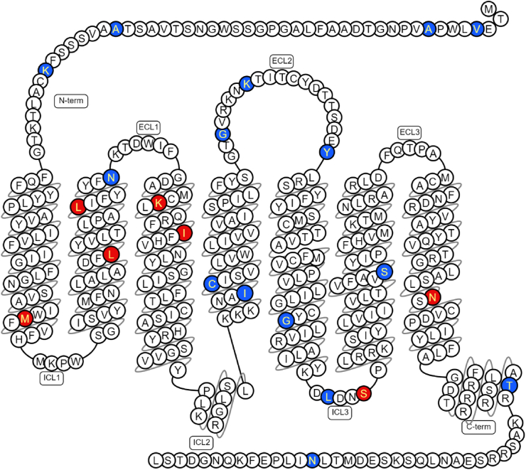 Figure 1