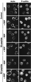 FIG. 8.