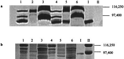 FIG. 8.