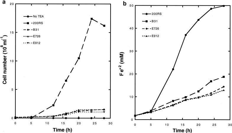 FIG. 5.