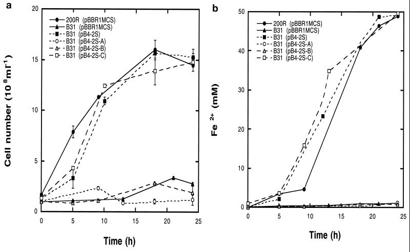 FIG. 2.