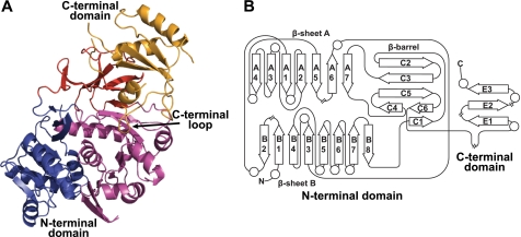 FIGURE 2.