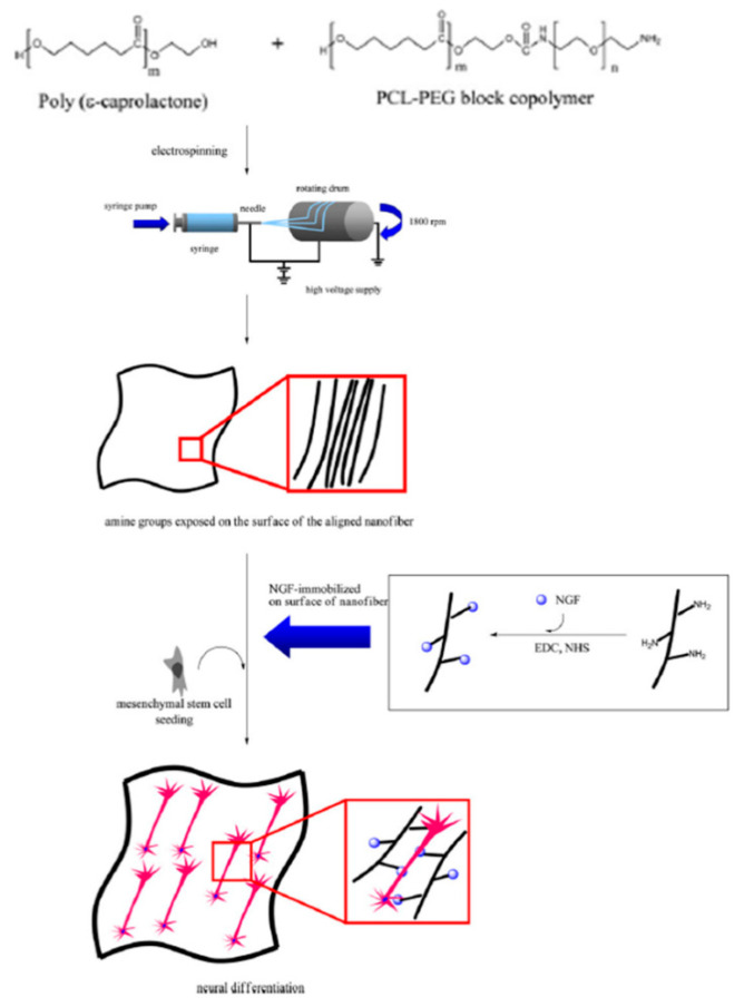 Figure 8