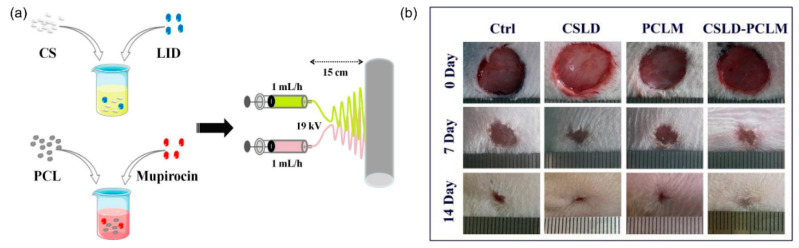 Figure 20