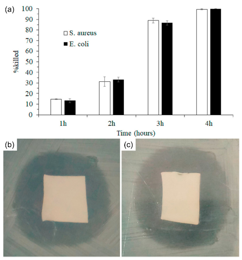 Figure 13