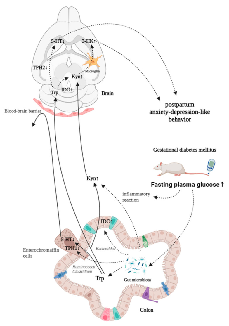 Figure 12