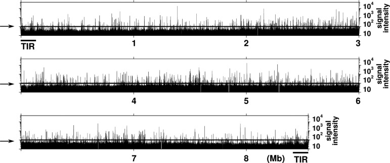 Figure 3.