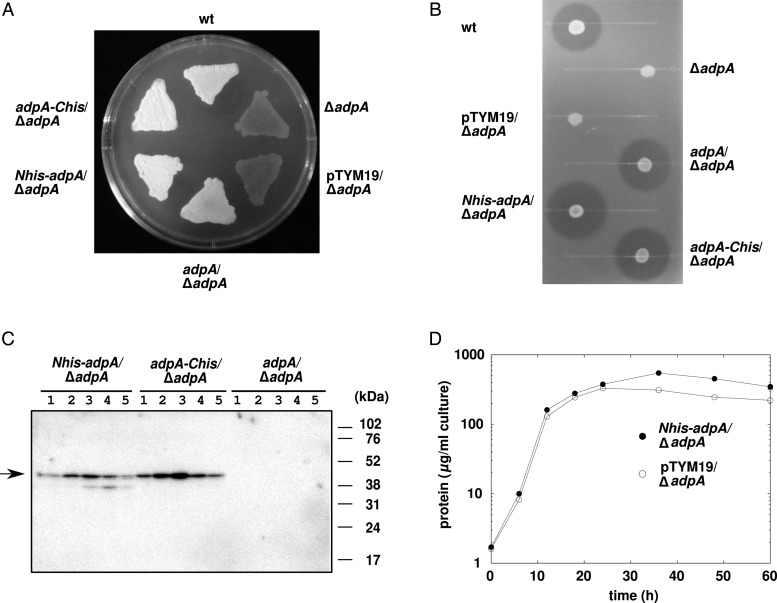 Figure 1.