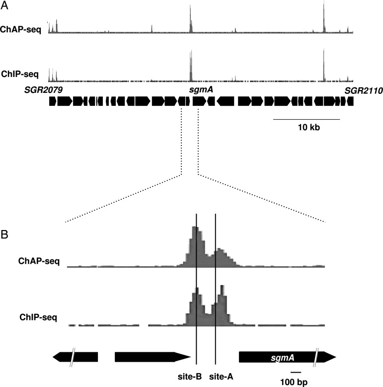 Figure 2.