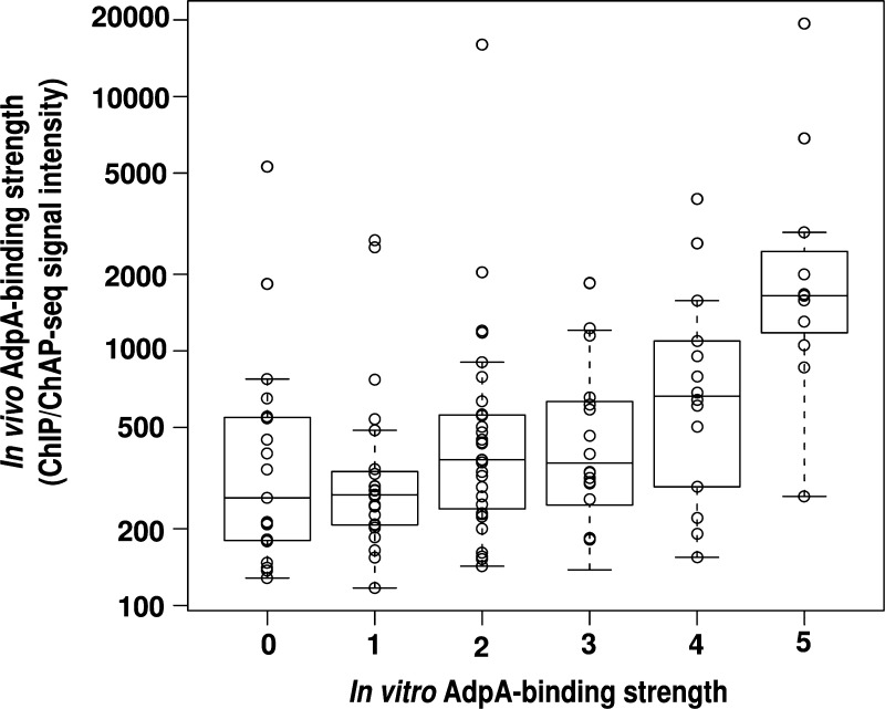 Figure 5.