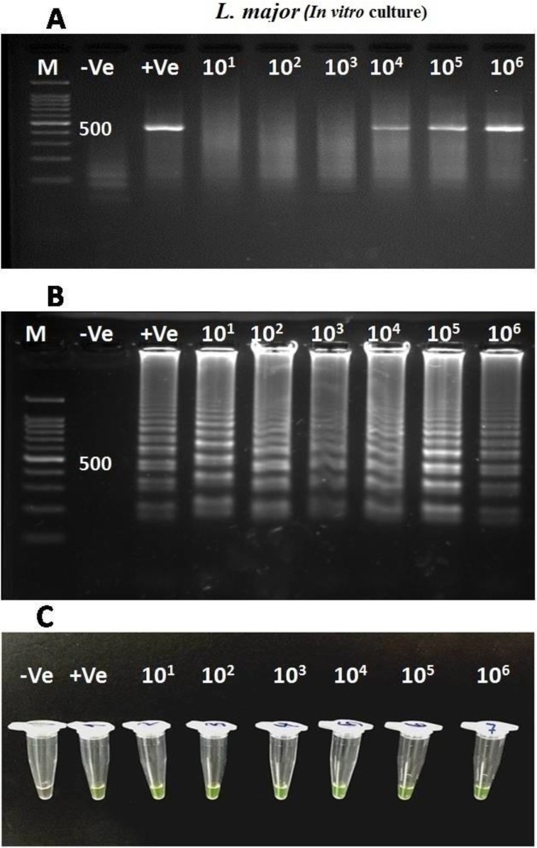 Fig. 1: