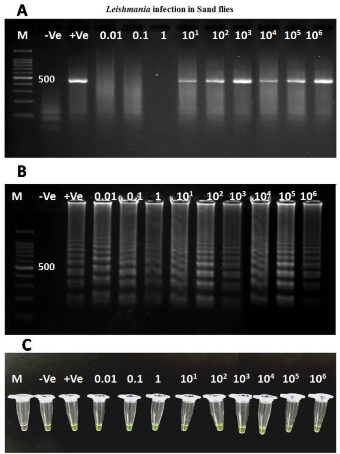 Fig. 2: