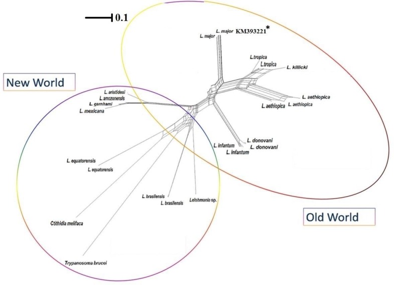 Fig. 3: