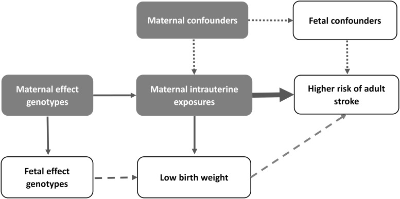 FIGURE 1