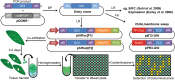 Fig. 3.