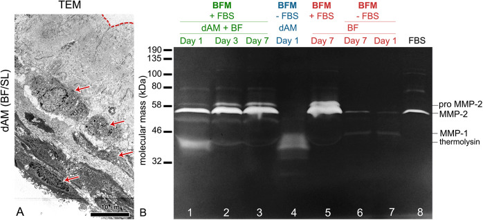 Fig. 3.