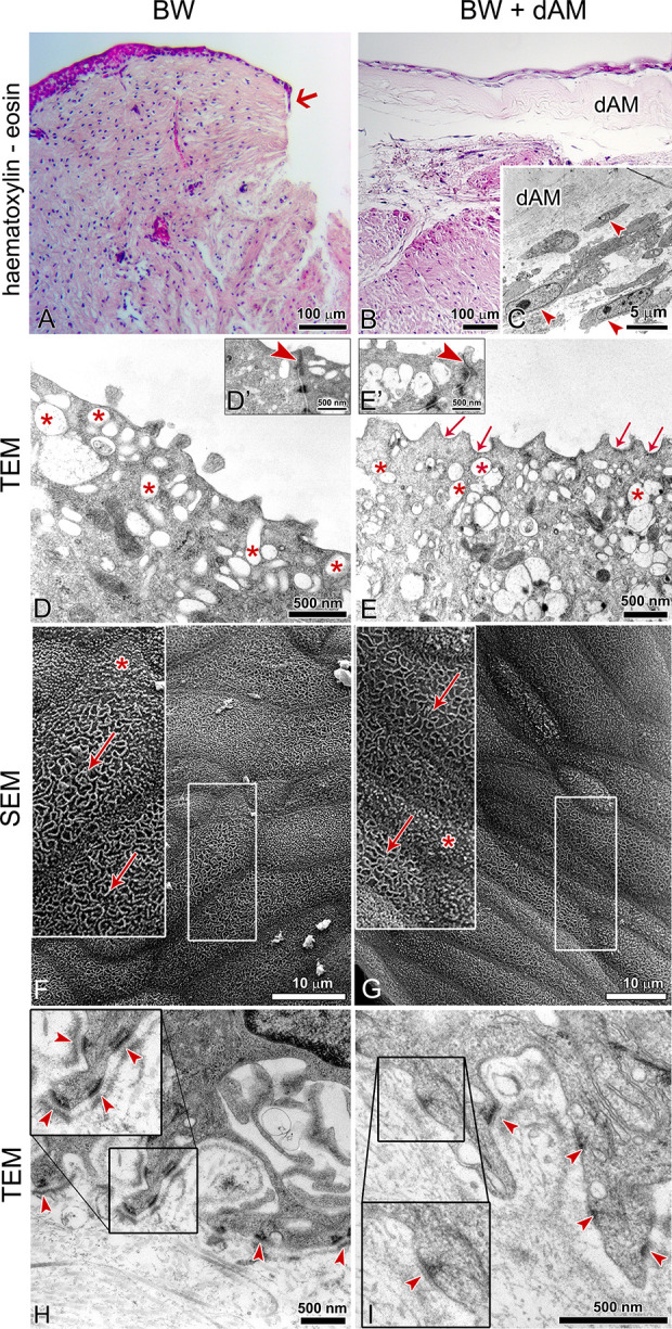 Fig. 6.