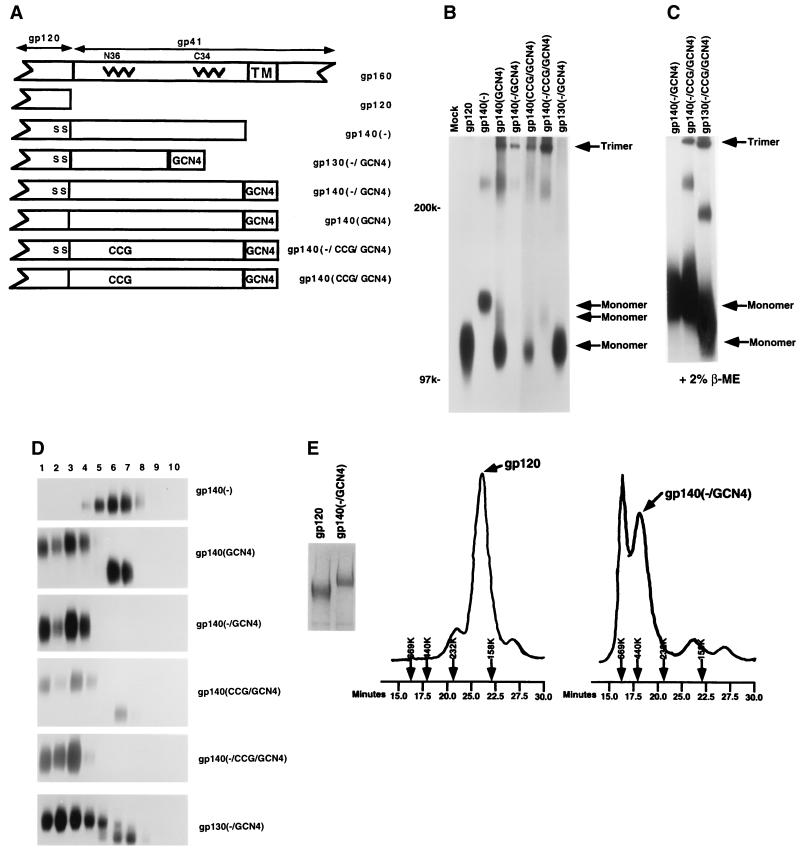 FIG. 1