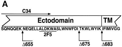 FIG. 5