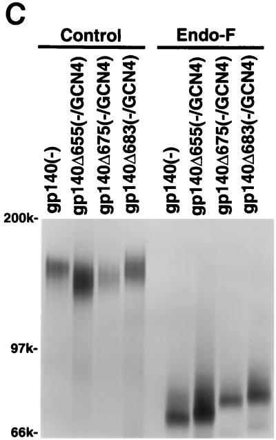 FIG. 5