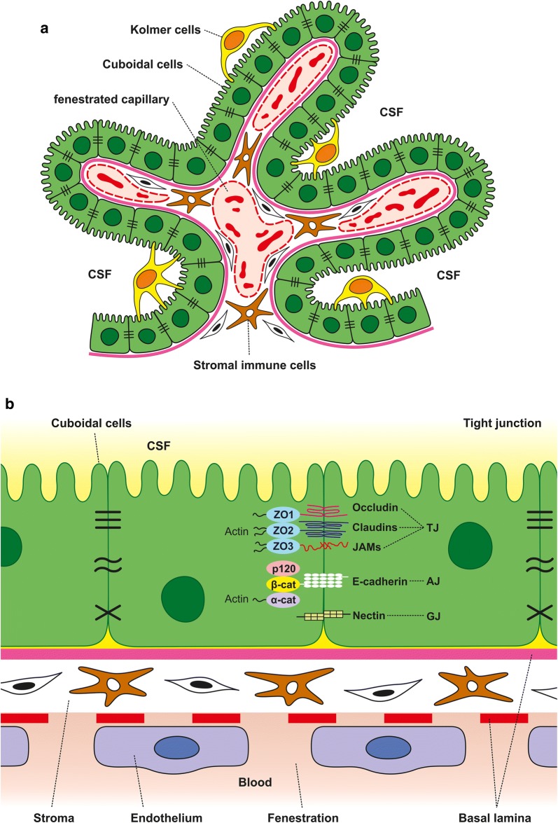 Fig. 1