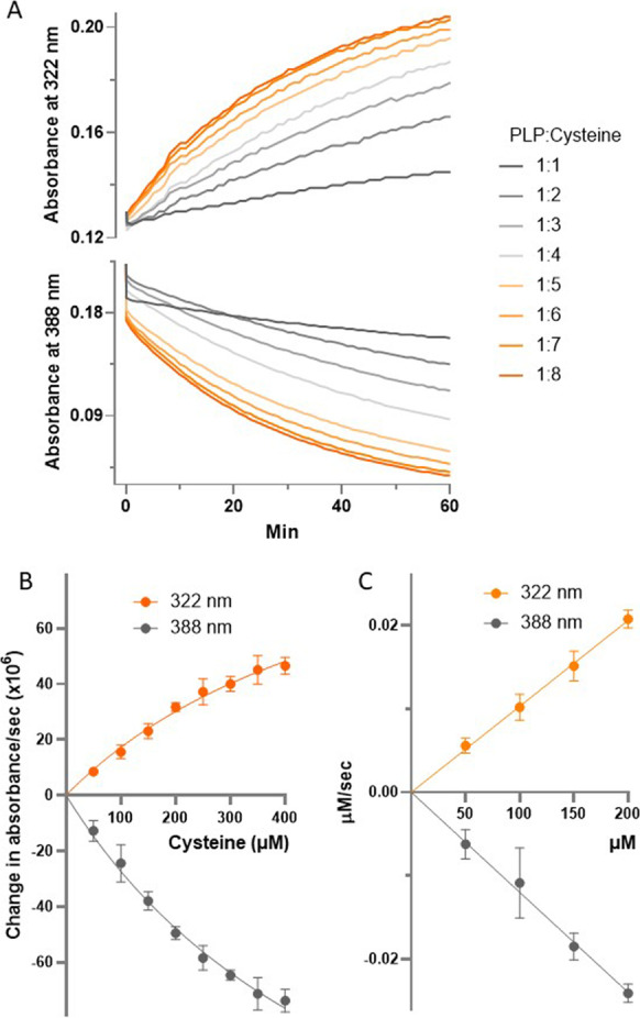 Fig. 8