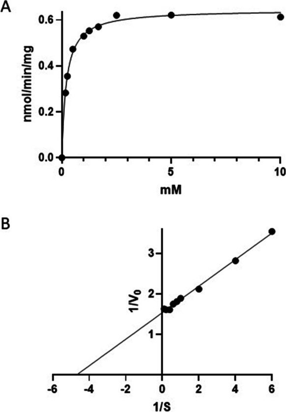 Fig. 5