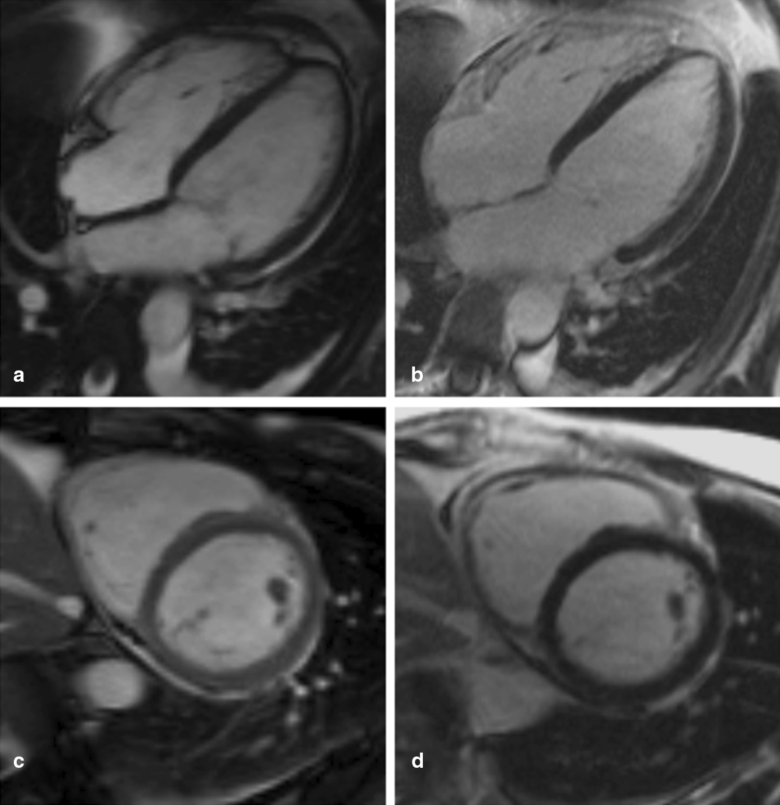 Fig. 5