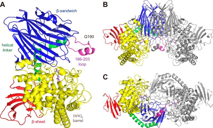 FIGURE 2.