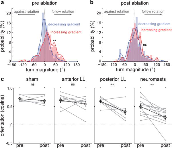 Fig.4