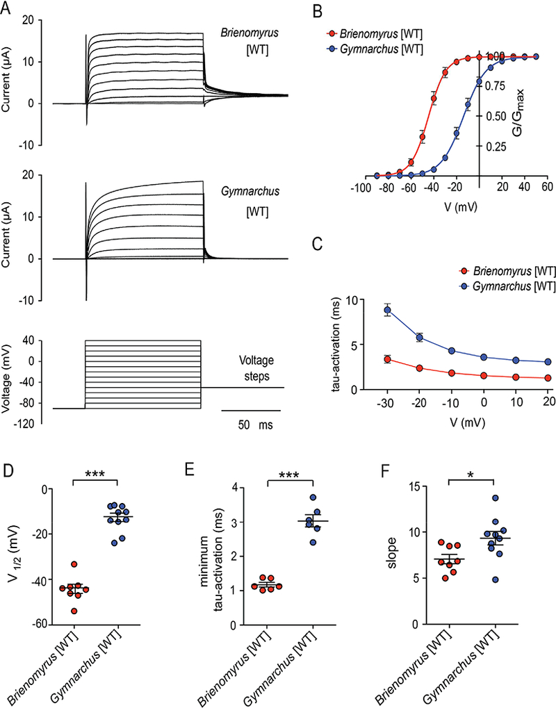 Figure 4: