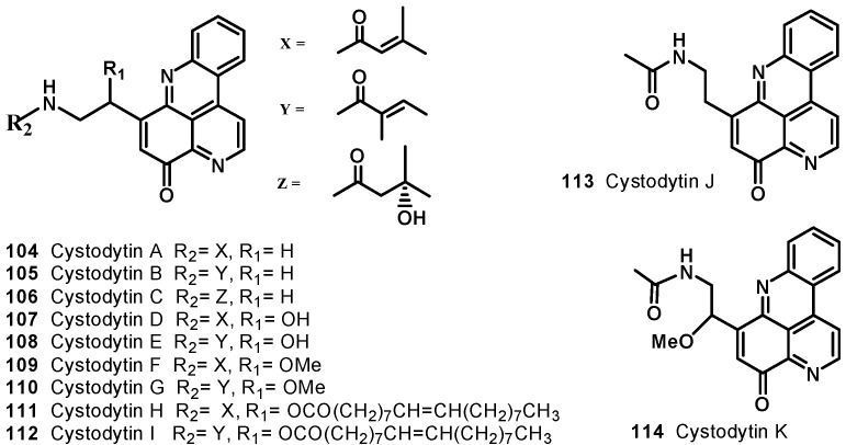 Figure 13