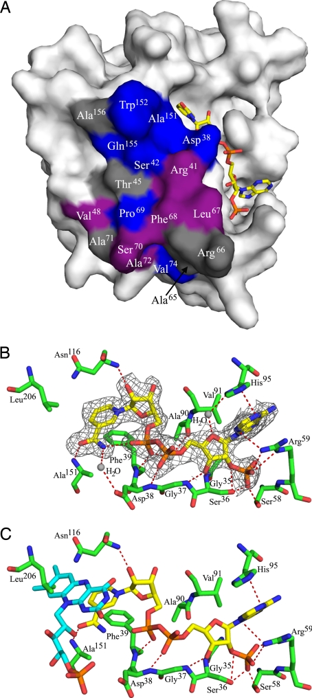 Fig. 2.