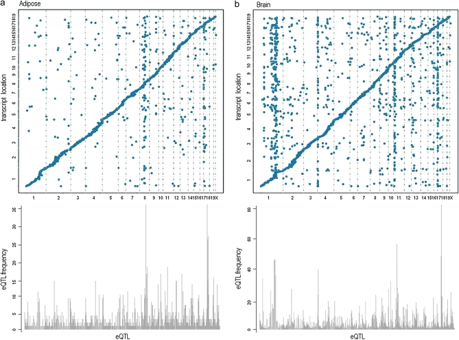 Figure 5.—