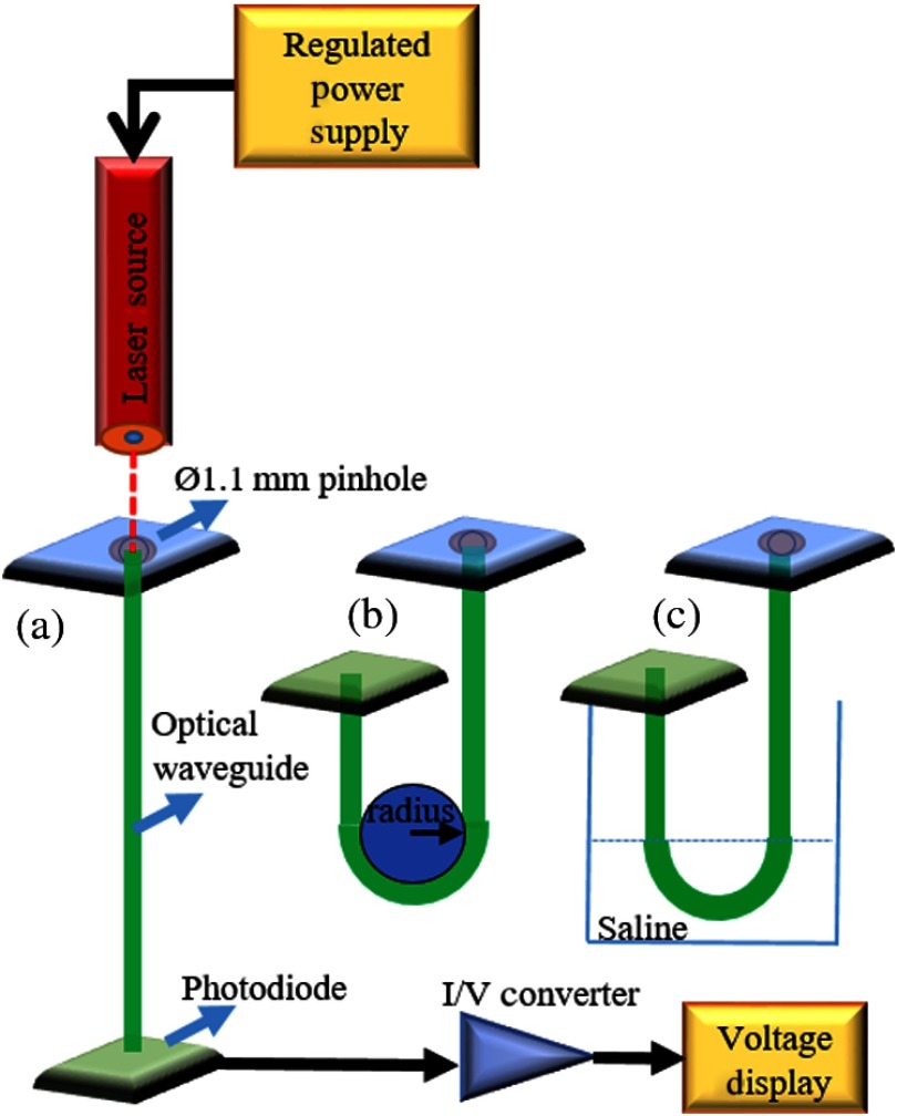 Fig. 2