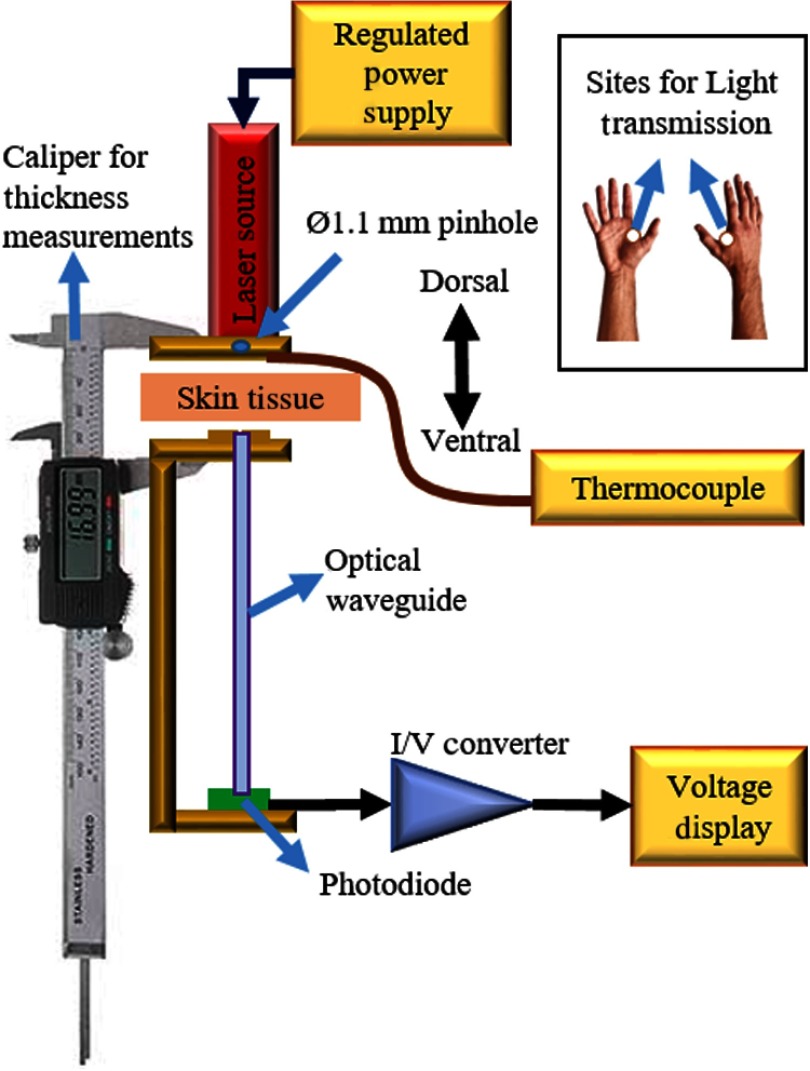 Fig. 3