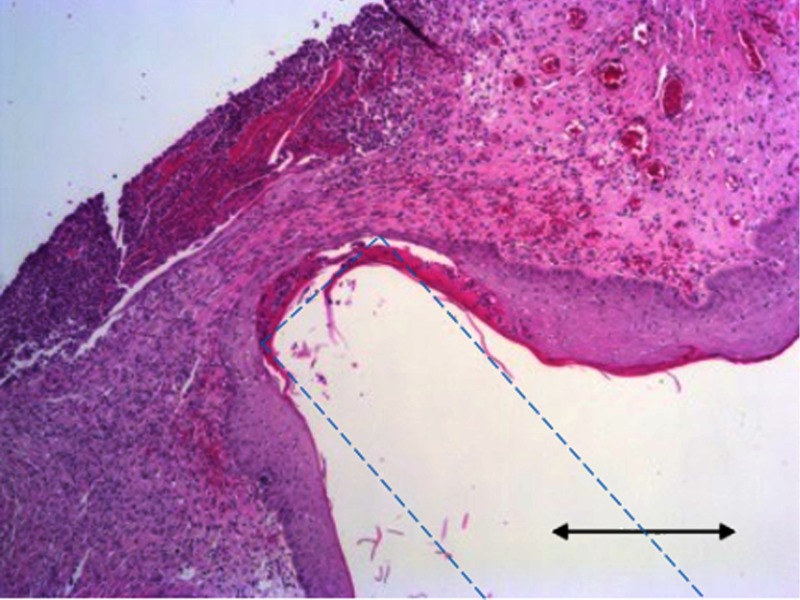 Fig. 10