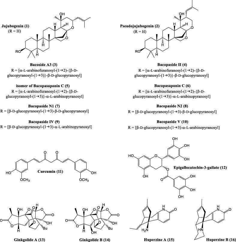 Fig. 2