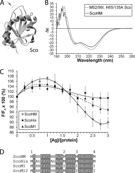 FIGURE 4.