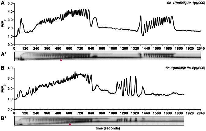 Figure 6